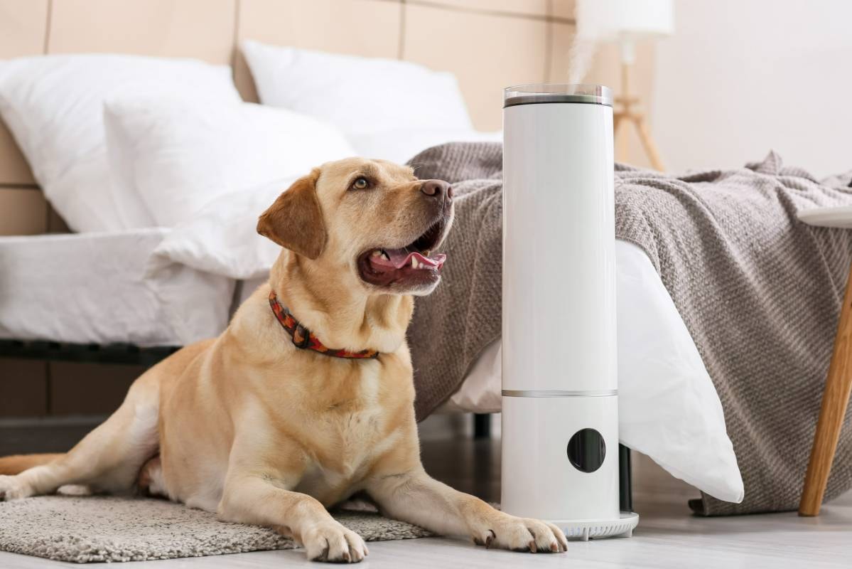 A happy dog lying on the floor next to a sleek air purifier in a cozy bedroom, illustrating the importance of Air Purifiers for Dogs to ensure a clean environment