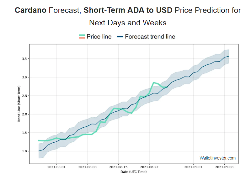 Prediction by Wallet Investor for the short term