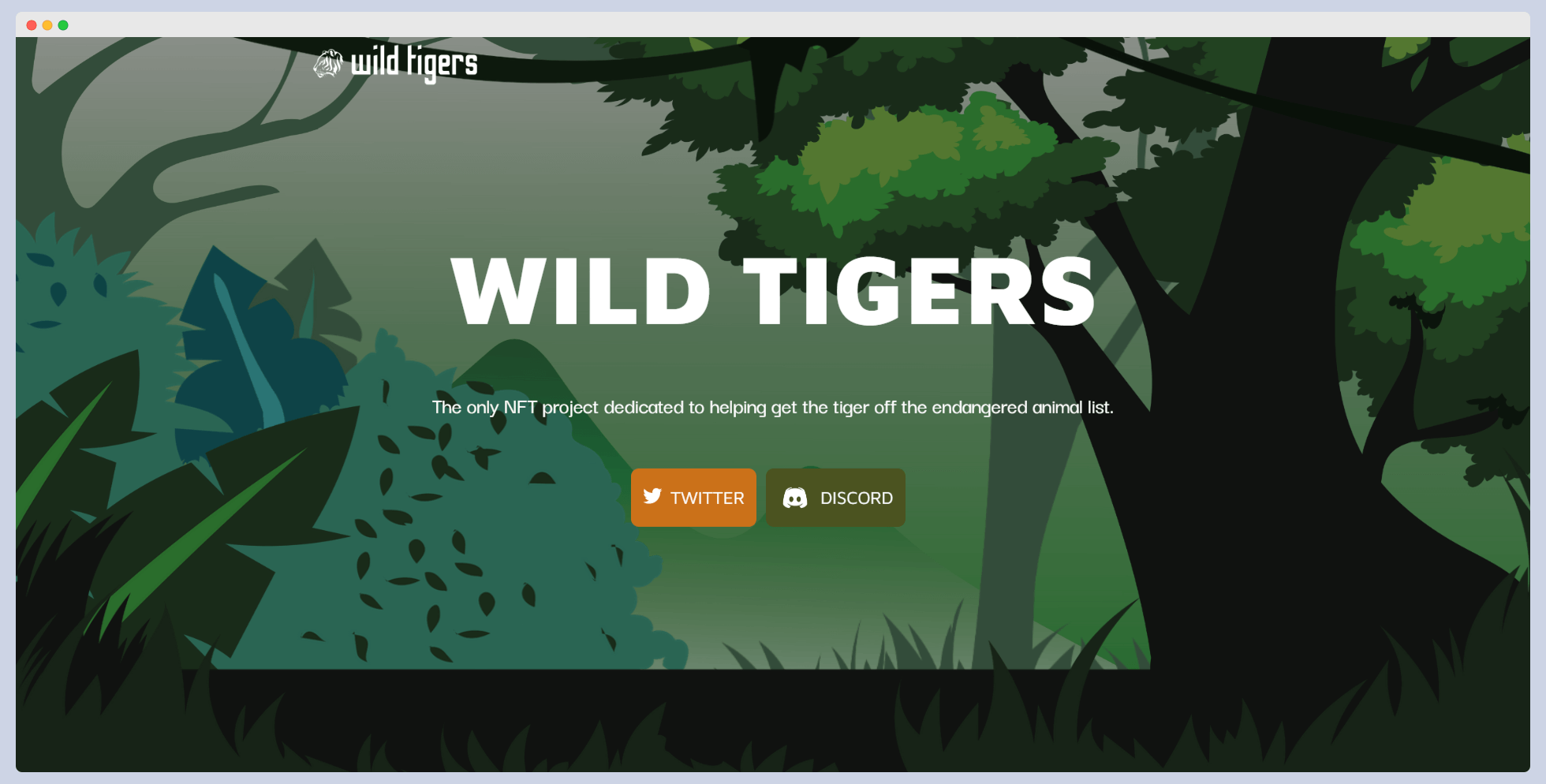 Wild Tigers Website Homepage