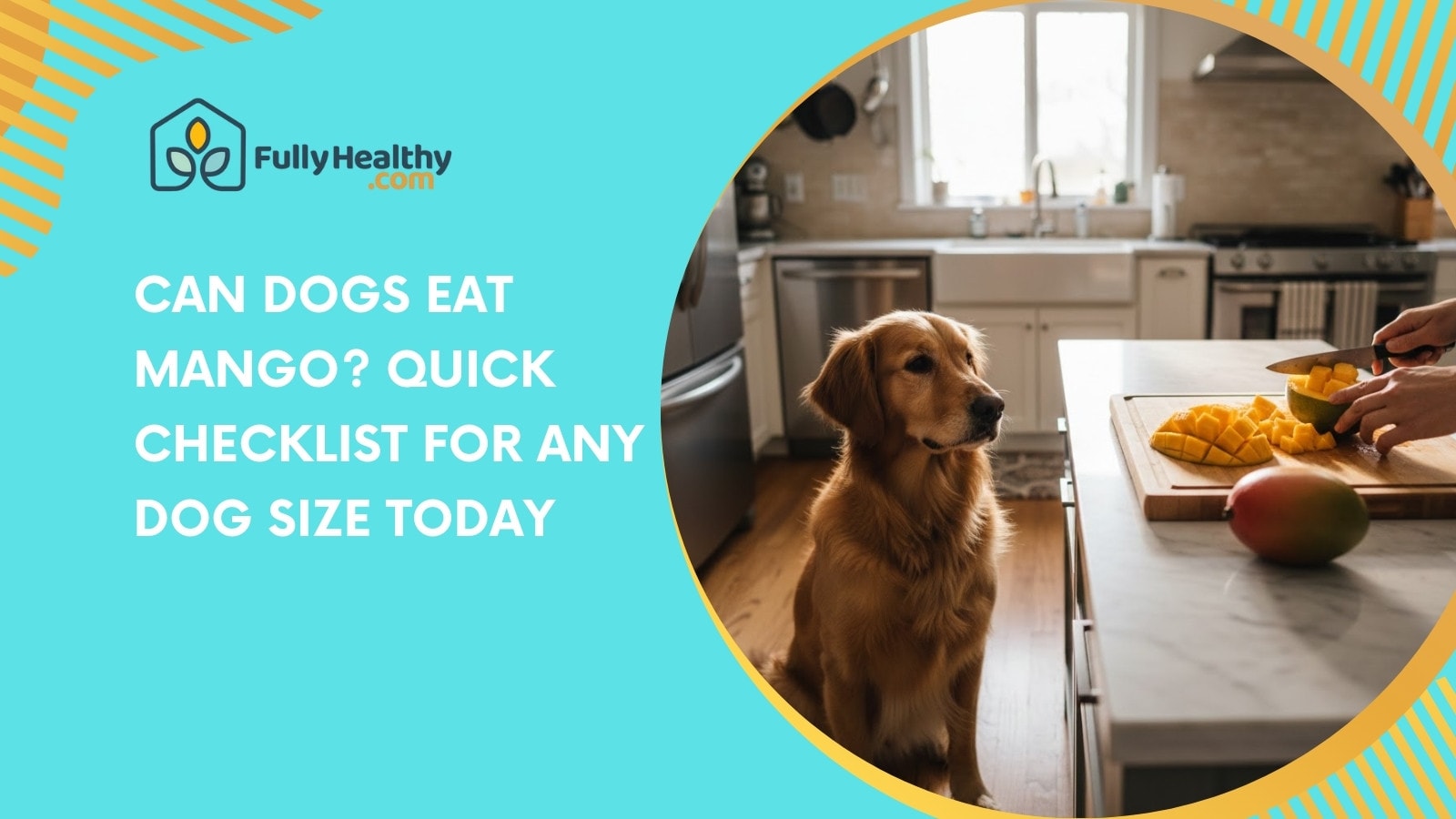 Can Dogs Eat Mango? Quick Checklist For Any Dog Size Today