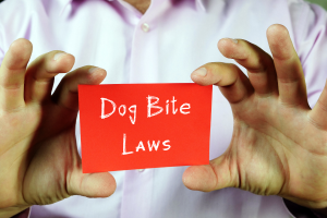 California dog bite laws