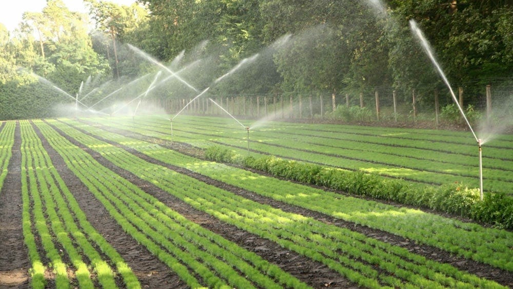 drip irrigation system