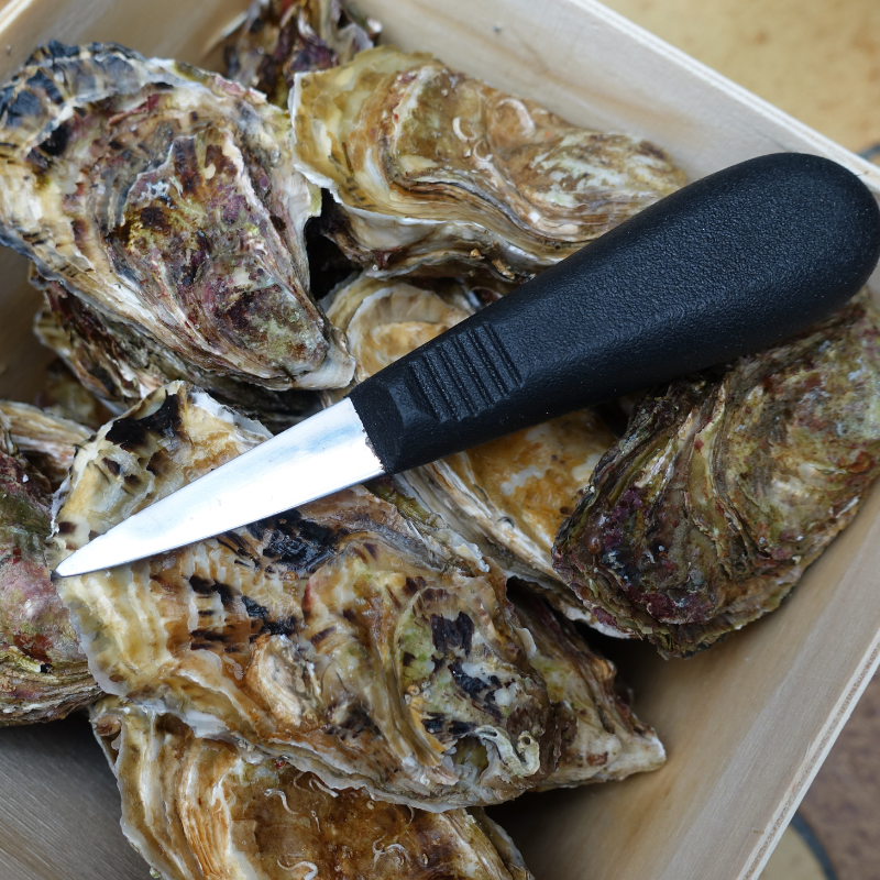 Image of a Deglon 6 oyster knife used for shucking fresh oysters.