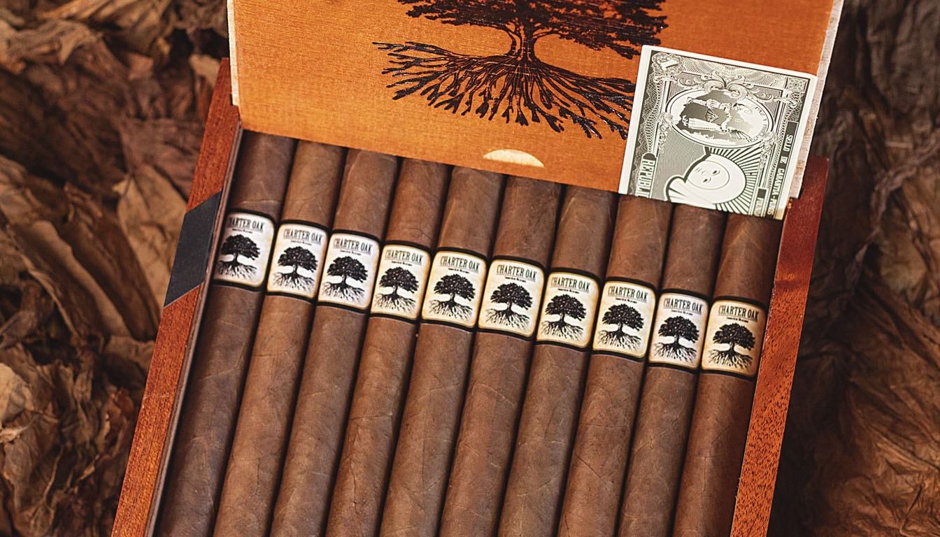 Charter Oak Habano cigars with a focus on their rich, dark wrappers and overall craftsmanship.