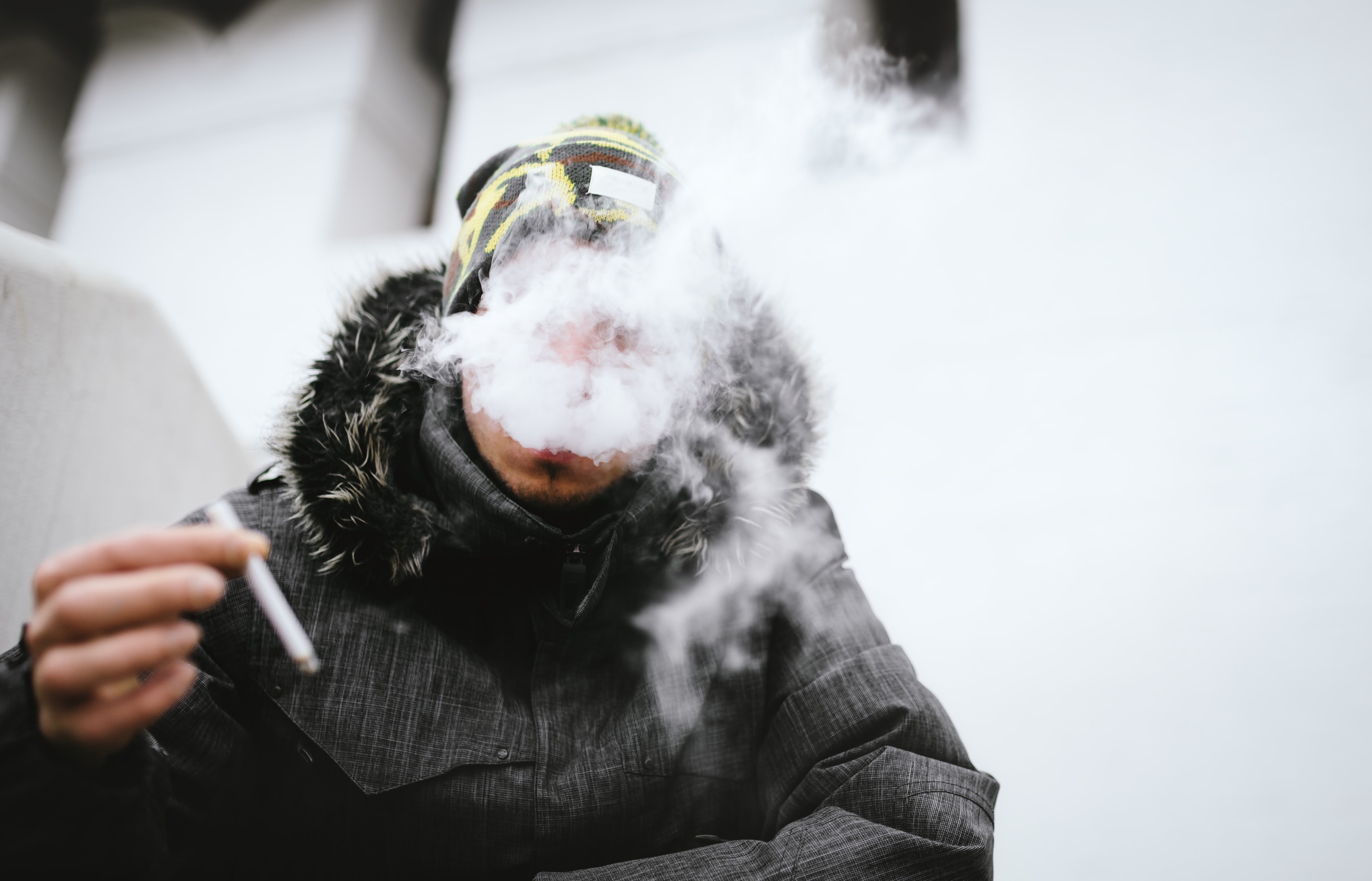 Cozy Up This Winter with Your Favorite THCA Flower