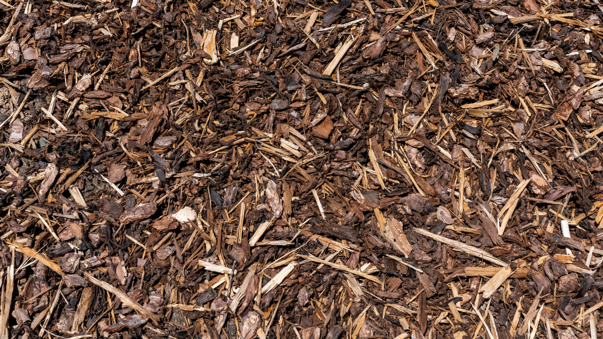 Les copeaux de bois et les paillis de ce type ont de multiples usages dans votre propriété et autour d'elle.