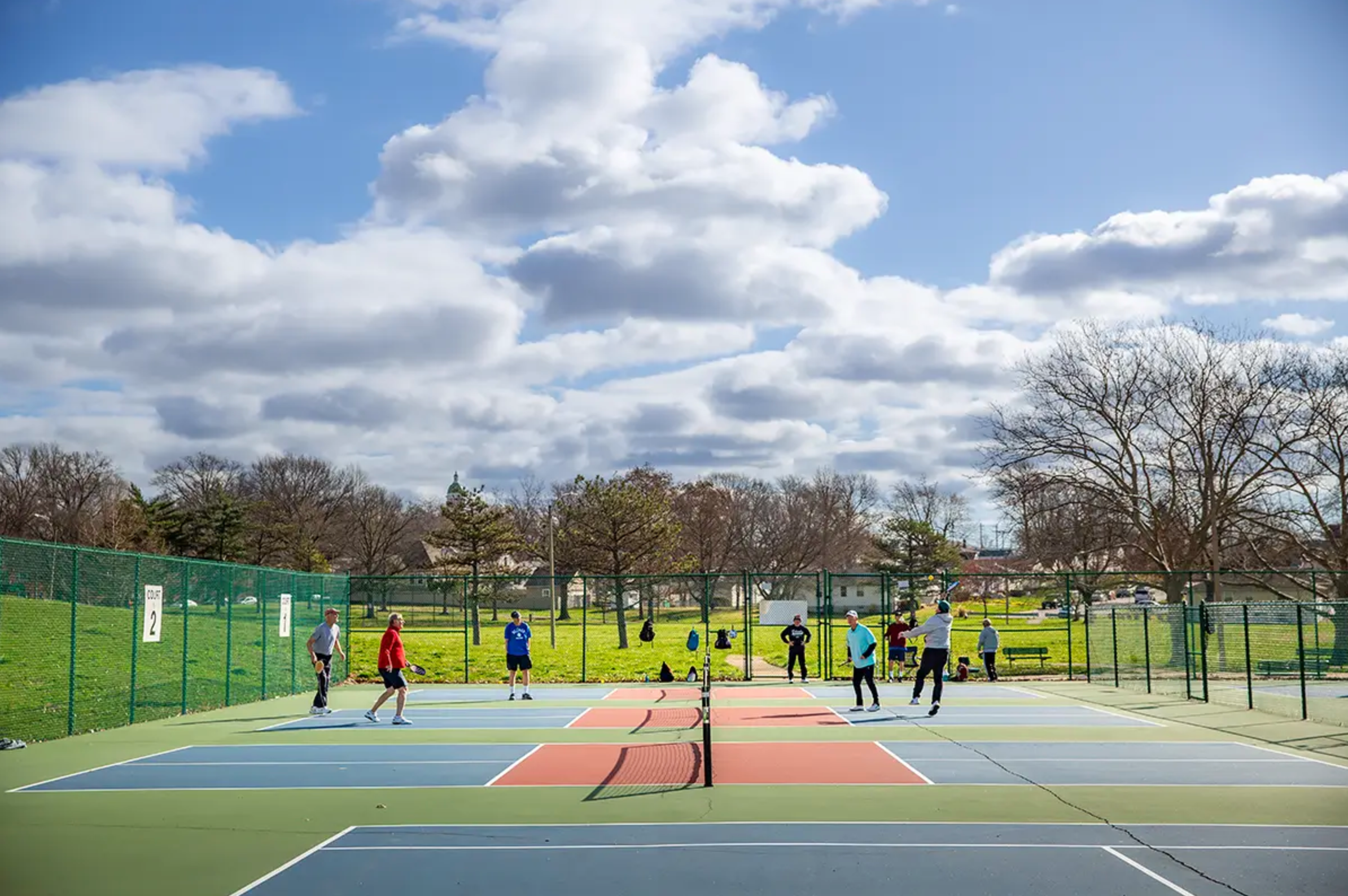 pro pickleball