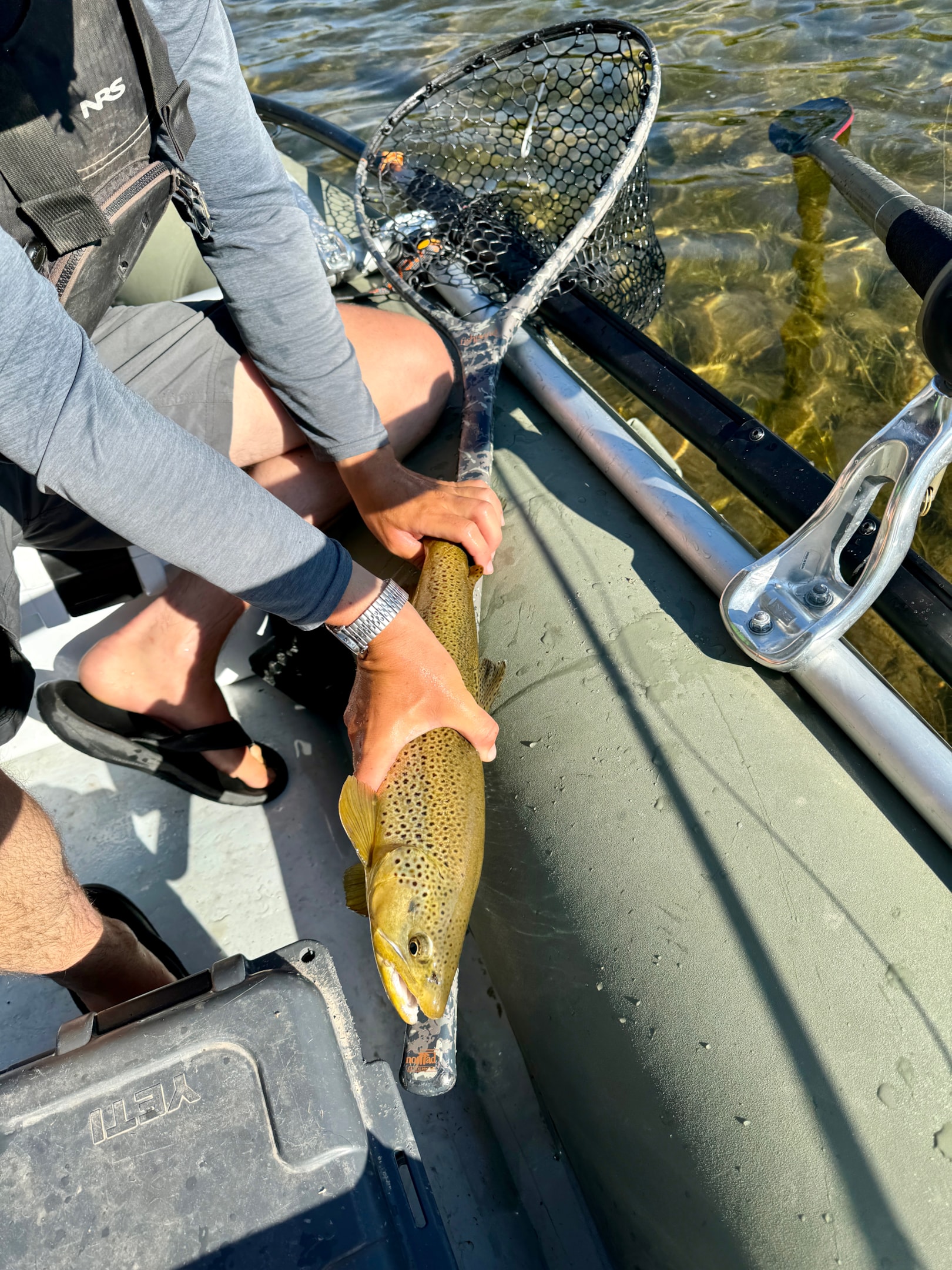 Another good size fish "taped" on a Fishpond Nomad Net.