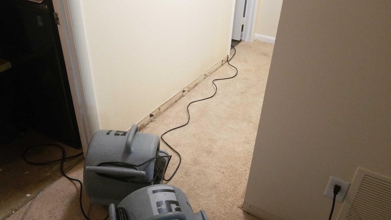 Water damage cleanup Washington DC 