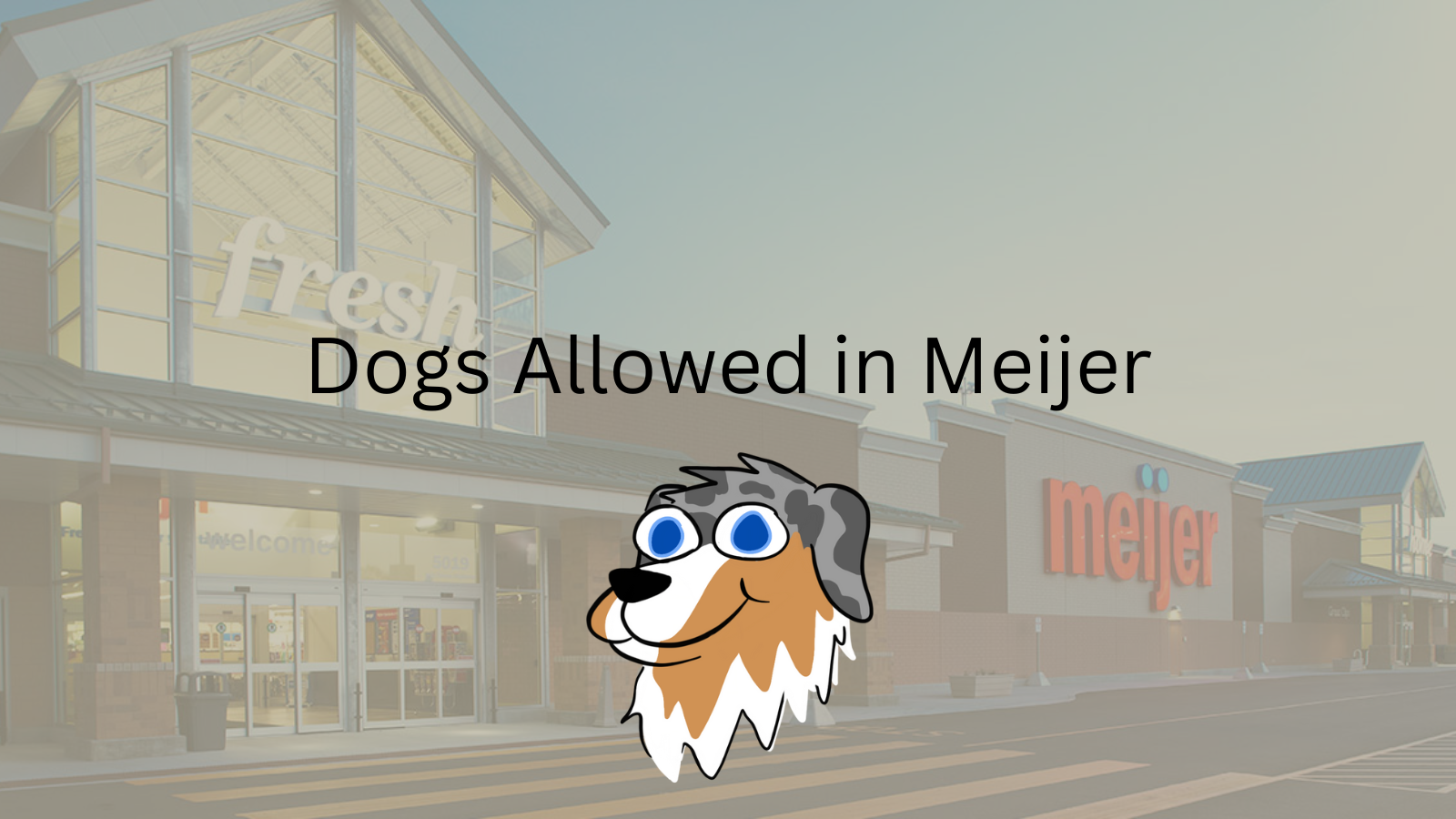 Image Text: "Dogs Allowed in Meijer"