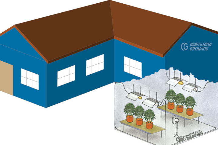 A basement provides an ideal environment for an indoor garden due to its naturally stable temperature and humidity levels throughout the year.