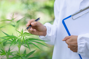 Scientific basis for marijuana DUI