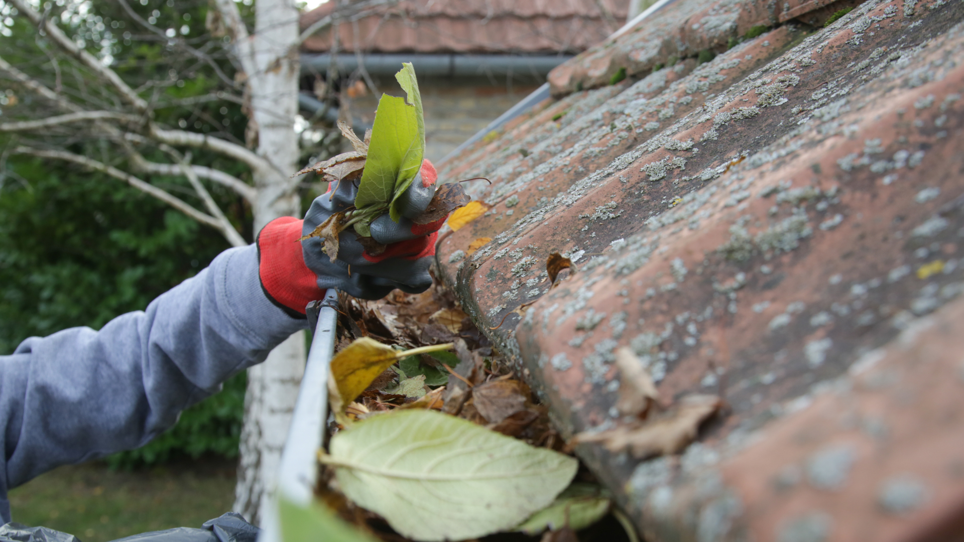 A person cleaning a gutter in the fall