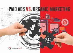 paid marketing vs organic marketing