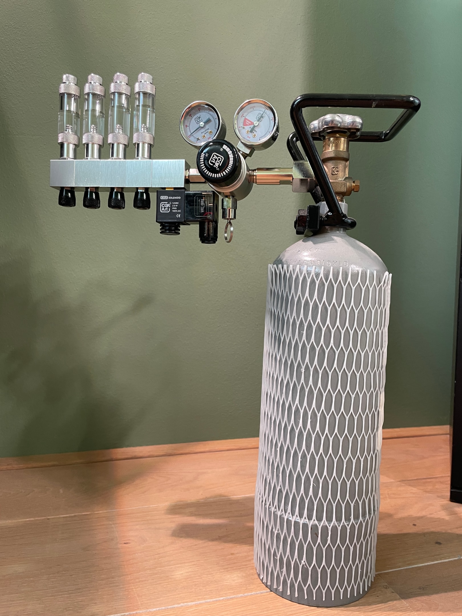 CO2 management accelerates plant development