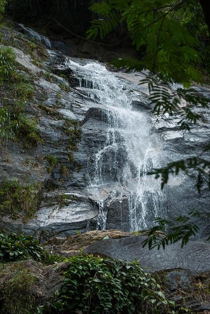 waterfall, forest, tijuca, rio de janeiro, tijuca, tijuca, tijuca, tijuca, tijuca