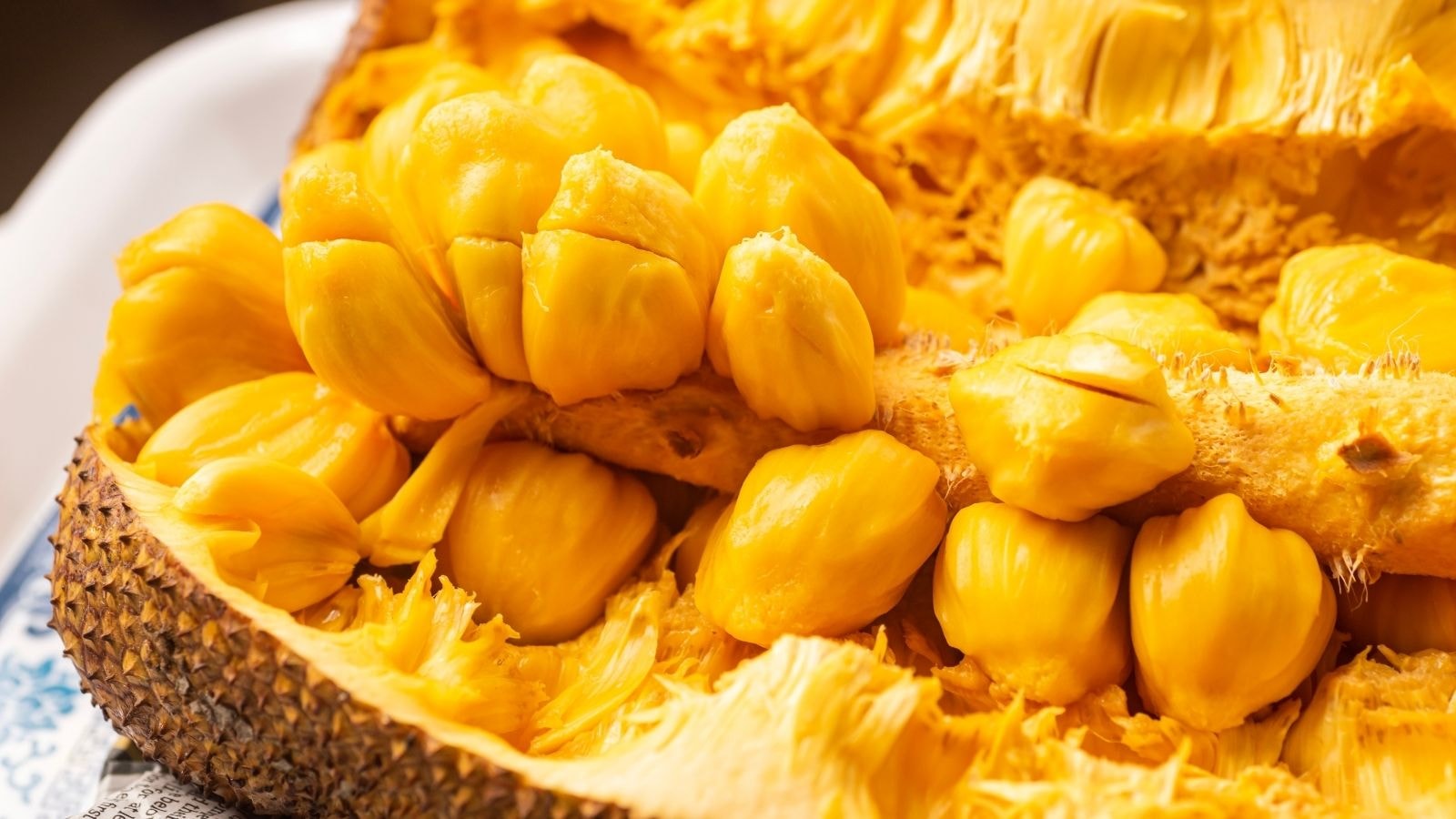 Close-up of ripe jackfruit flesh with yellow pods still attached to the rind