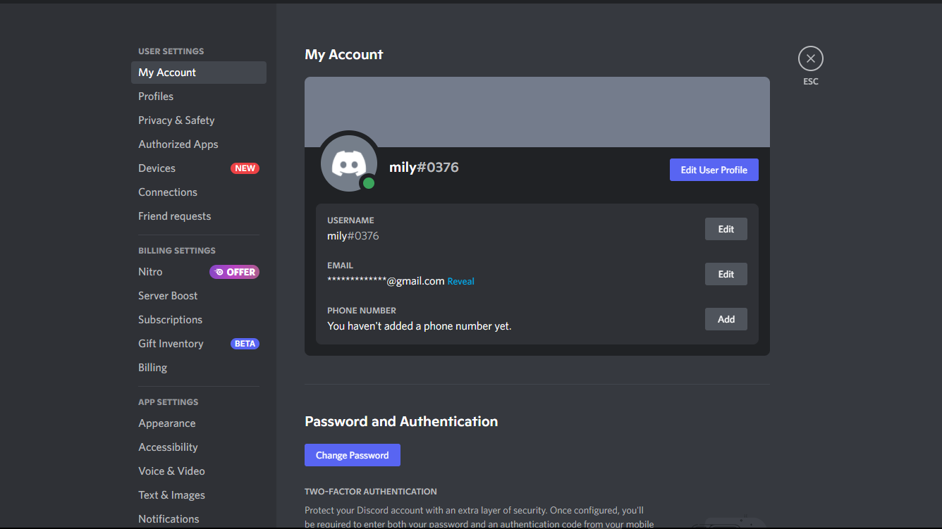 Screenshot showing the User Setting menu on Discord