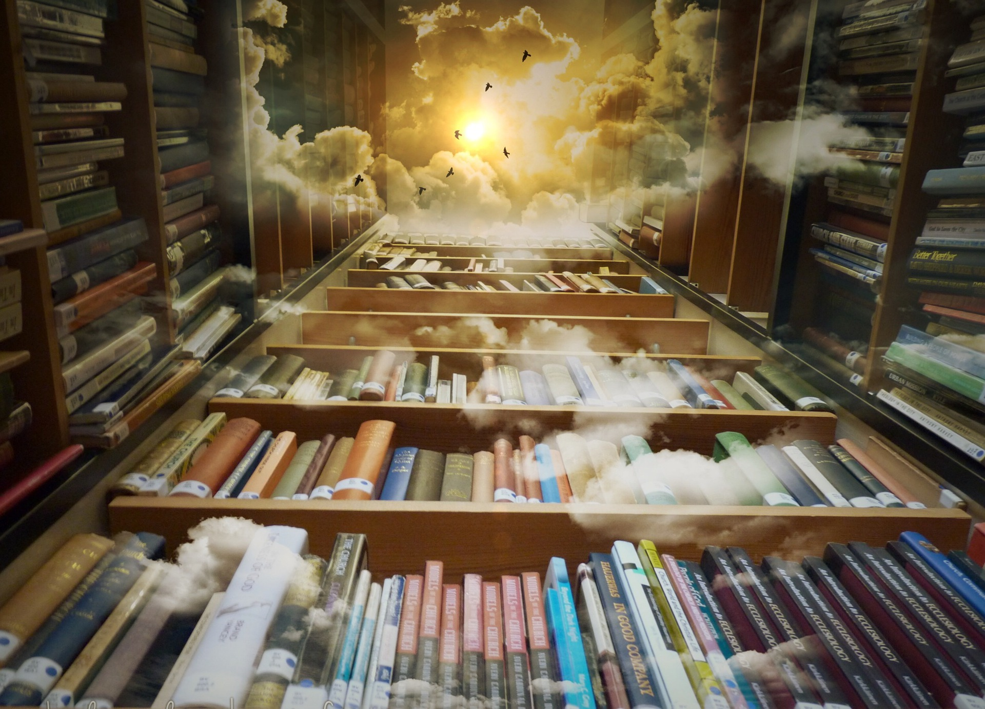 Books: the magical birthplace of fantasy!