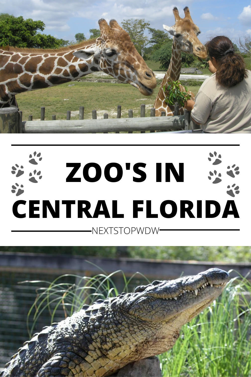 Zoo's in Central Florida Pin Image