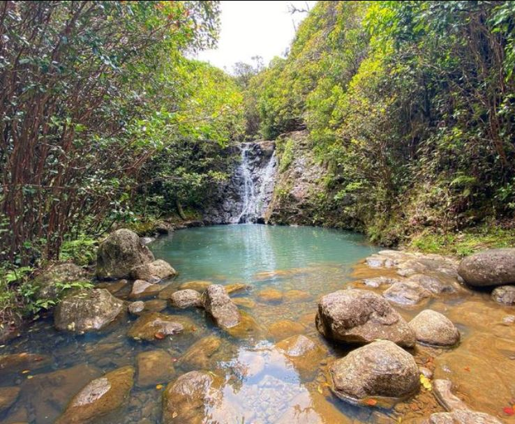 manoa falls trail