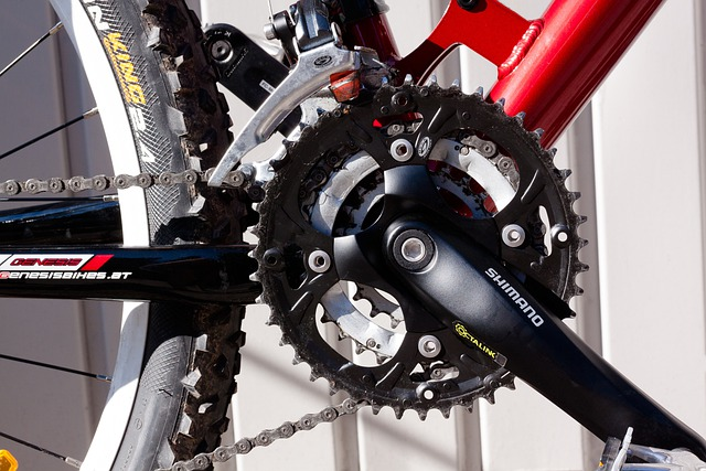 bottom bracket, gear, mountain bike
