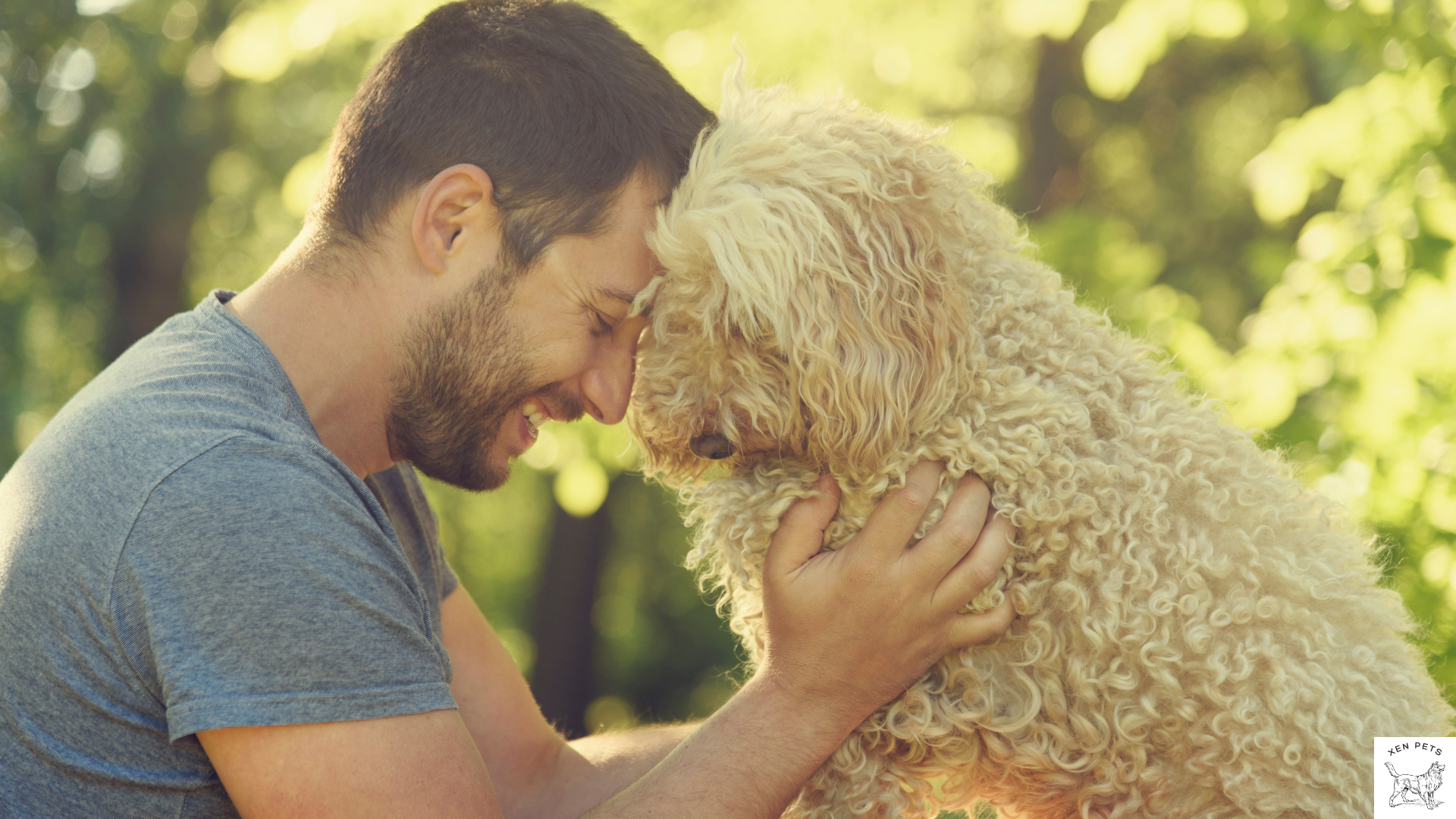 happy and healthy dog cuddling with man