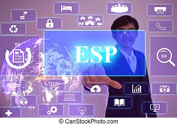 Email Service Provider (ESP)