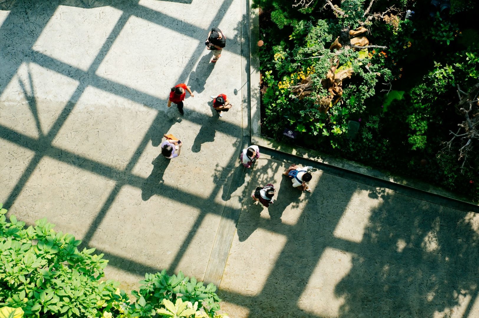Aerial view of people walking under a grid shadow beside lush greenery. Sunlight casts sharp shadows, conveying a bright, serene atmosphere.
