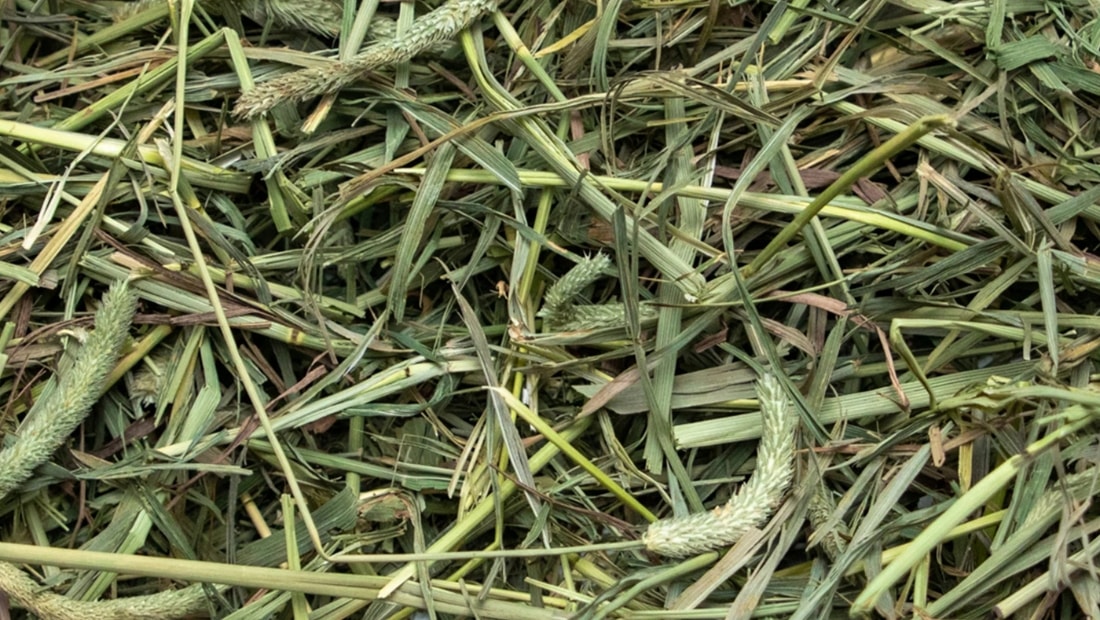 medium texture hay