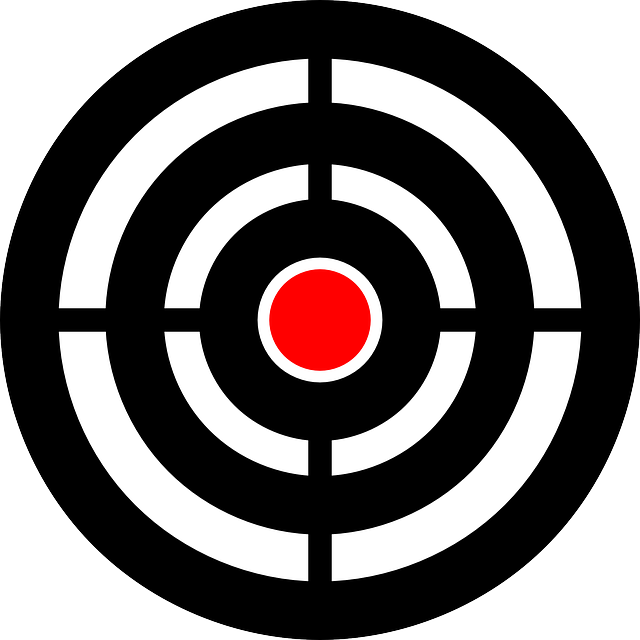target, bullseye, aim