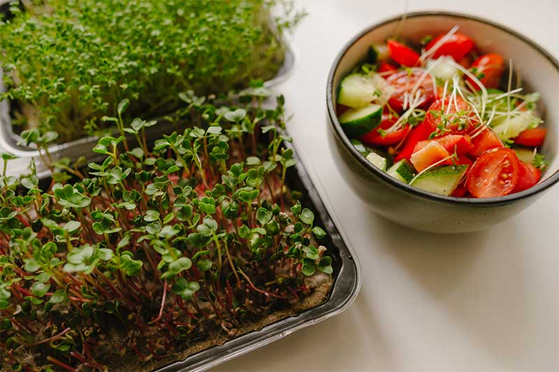 Including Microgreens in Your Diet