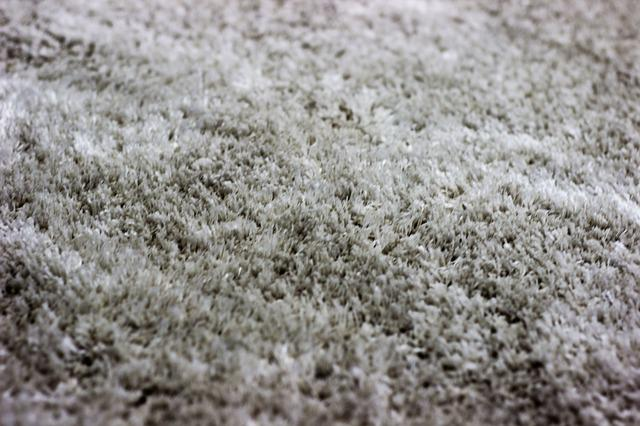 Close up image of a plush carpet