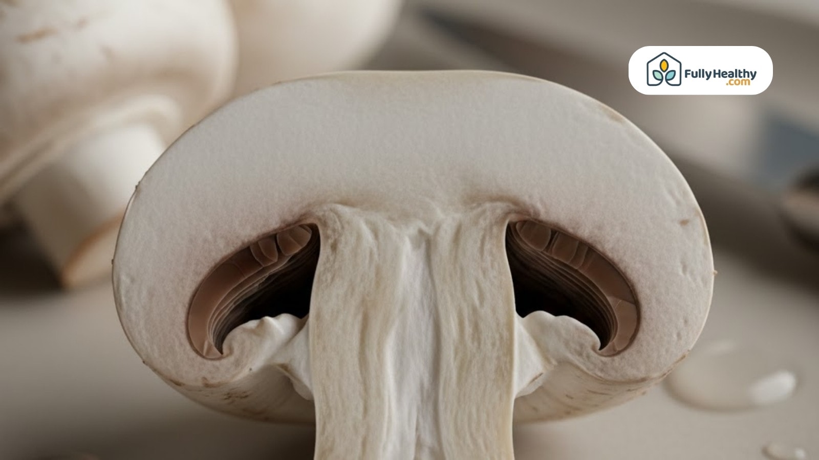 Close-up view of sliced white mushroom showing gills and stem texture