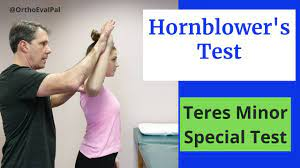 Hornblower's Test (Teres Minor Special Test) - YouTube