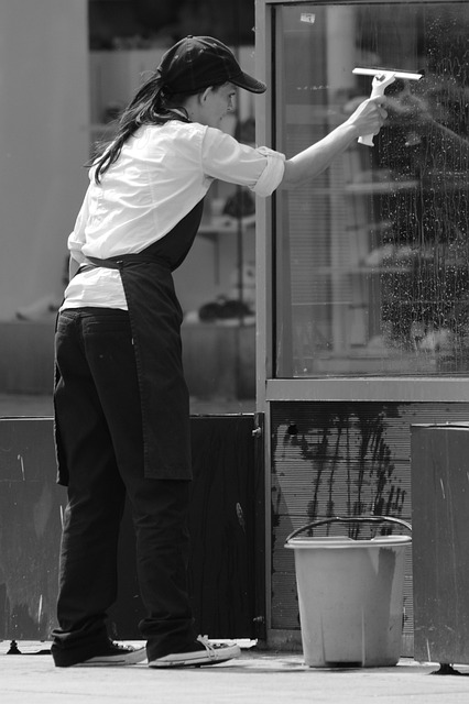 window wax, window cleaning, bucket