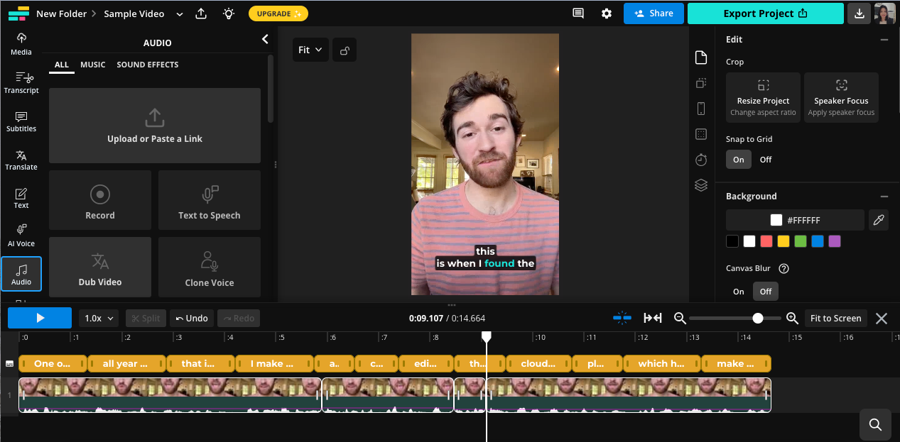 Kapwing Audio Text to Speech