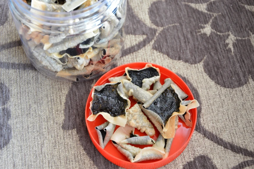How to store nori chips?