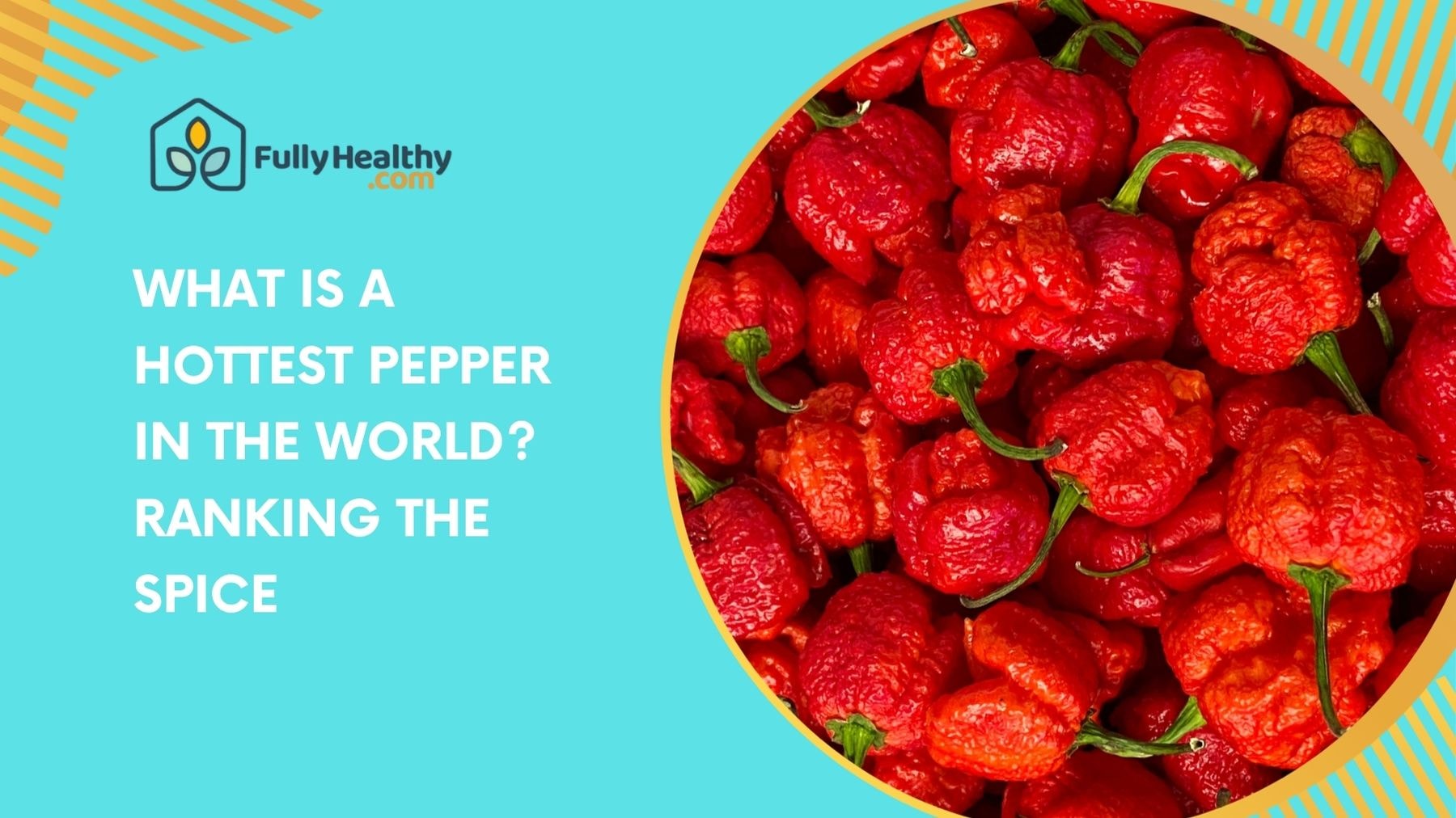 What Is a Hottest Pepper in the World? Ranking the Spice