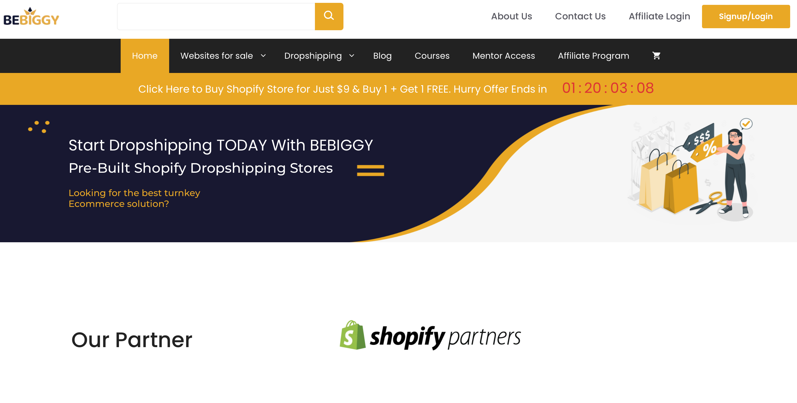 premade dropshipping store - bebiggy 