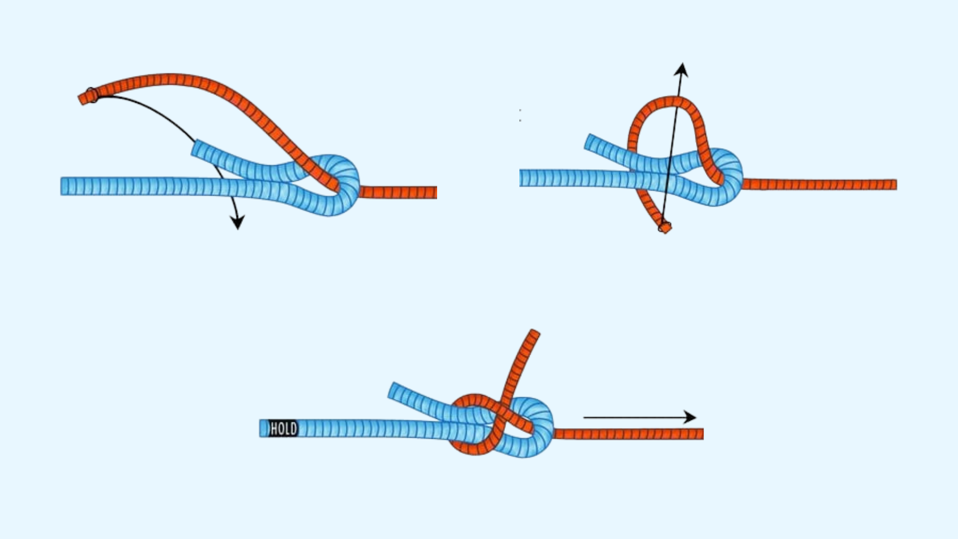 Anleitung für einen Schotstek Seemannsknoten (Palstek - Schotstek - Doppelter Schotstek)