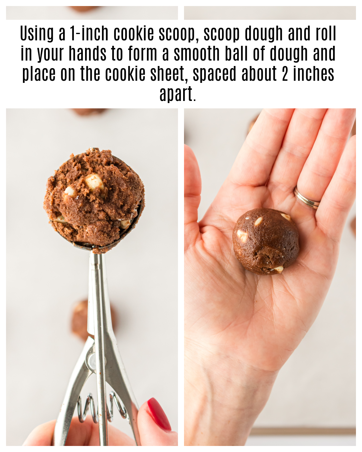 white chocolate chip double chocolate cookie dough ball scooped and rolled in your hand