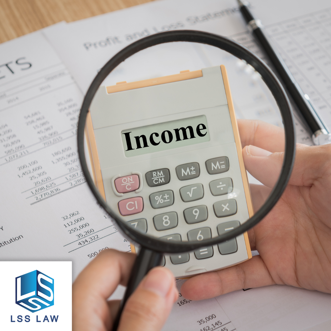 The Debtor's Income and Expenses