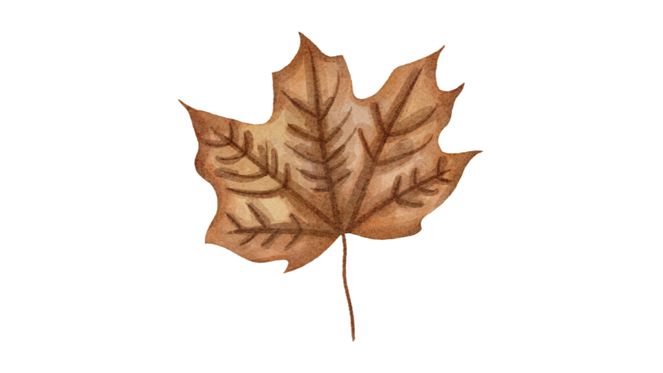 Dried Leaf