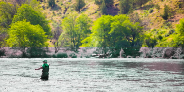 Fly fishing in the Deschutes River
