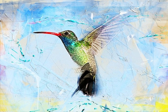 bird hummingbird, art, abstract