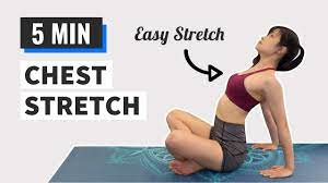 5 Min Chest Stretches for Tightness | Chest Stretches After Workout (FOLLOW  ALONG) - YouTube