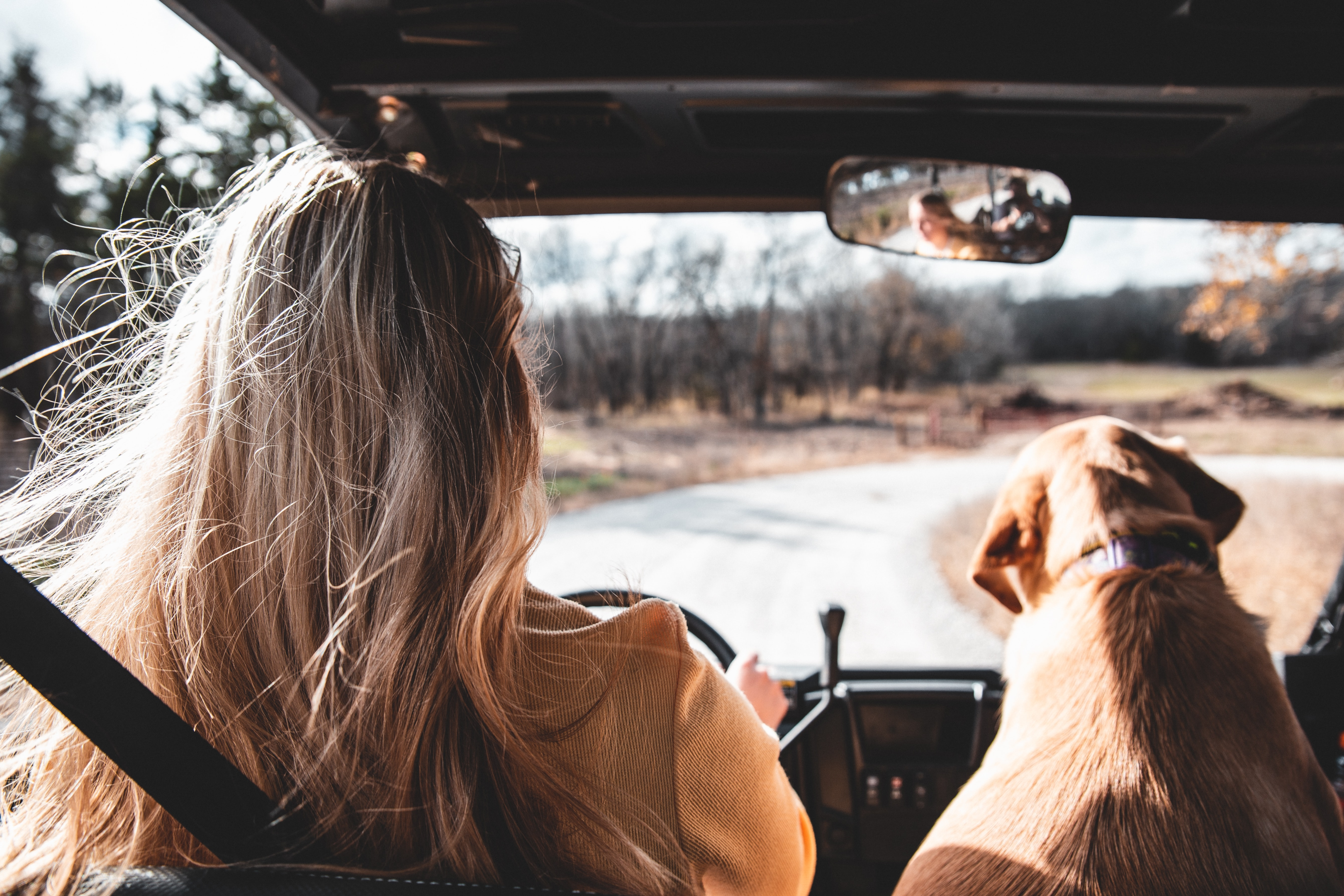 Blonde woman driving with dog