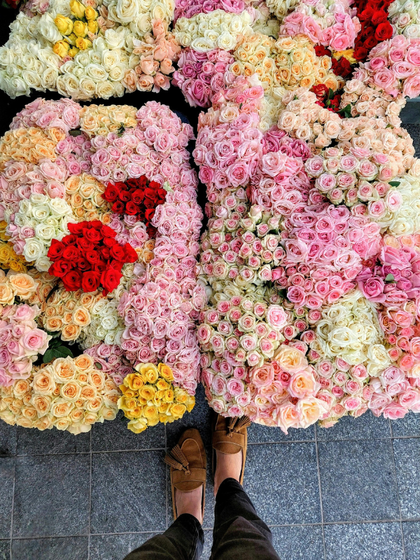 beautiful flowers at a Houston farmers market