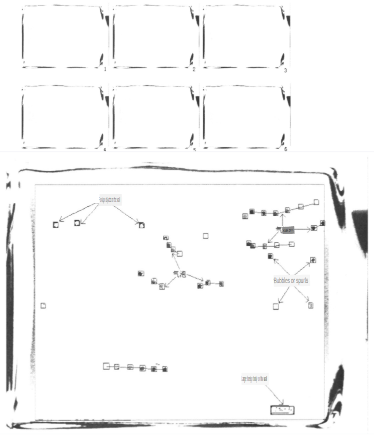 The tracking results of the method adopted in this study